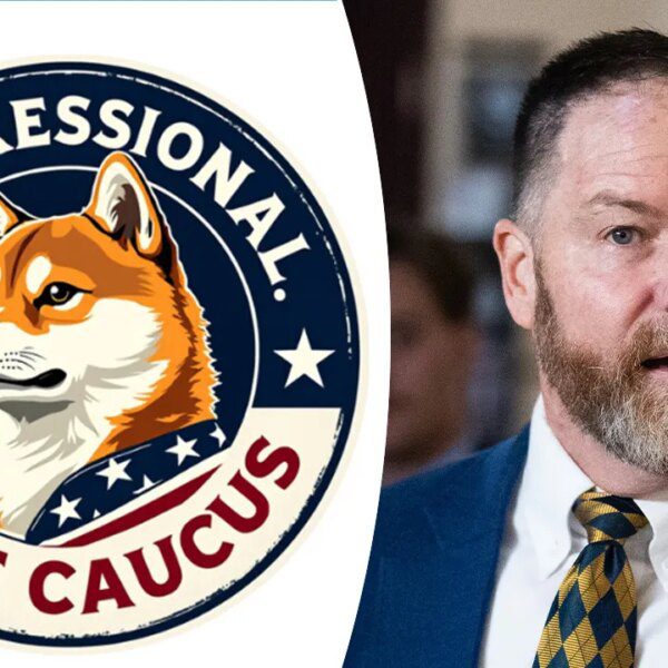 DOGE Caucus chief pushes to revive Musk-sparked authorities effectivity campaign