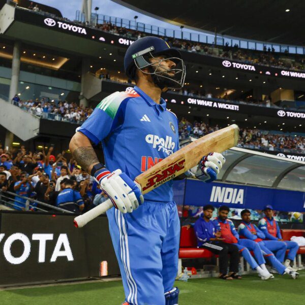 Virat Kohli confirms availability for home matches forward of IND vs NZ…