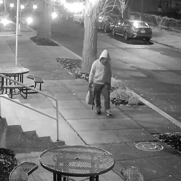 Fox News Politics Newsletter: Who is Brian Cole, the DC pipe bomb…