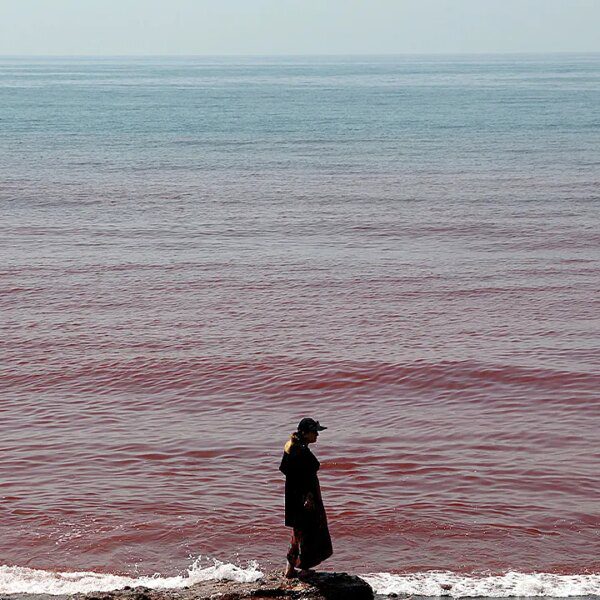 Viral video reveals how rain turns Hormuz Island panorama and ocean blood-red