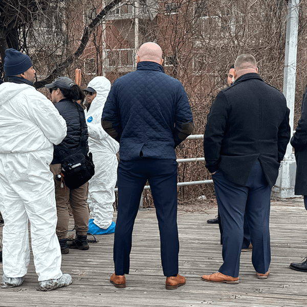 Human cranium, different stays found in bushes close to Brooklyn’s Coney Island