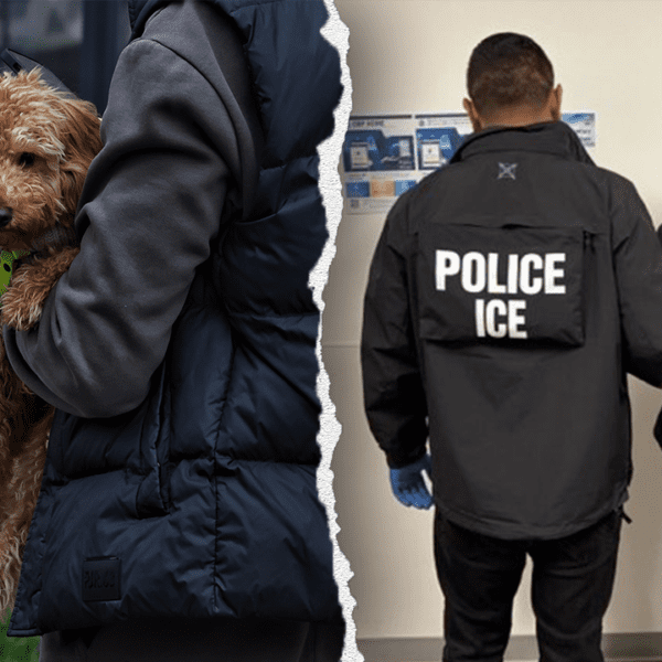 ICE arrests unlawful immigrant from Azerbaijan with a number of convictions