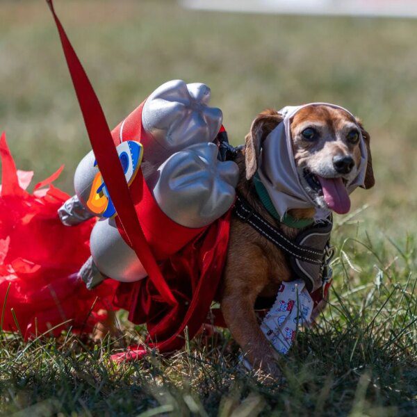 XOVR: Too Little Private Exposure To Matter (Downgrade)