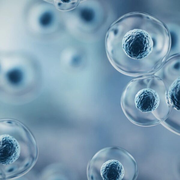 Immatics Stock: PRAME Leader’s Transition To Commercial Reality (NASDAQ:IMTX)