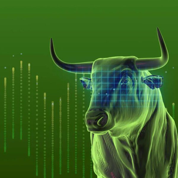 FNGU: 3x Exposure To FANG+ With The Expectations Of A Bull Market…