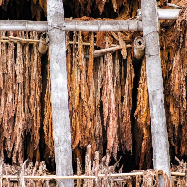 Universal: The Yield Is Attractive But Don’t Expect Growth (NYSE:UVV)