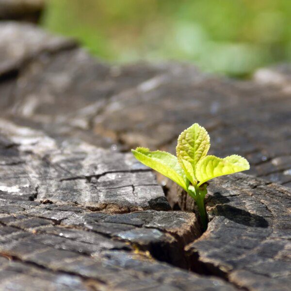 Small-Cap Value At A 100-Year Extreme: Why AVUV ETF Is A Strong&hellip;