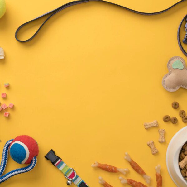 Chewy: Priced For Perfection While Competition Heats Up