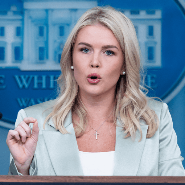 White House spox Leavitt defends Susie Wiles in opposition to Vanity Fair…
