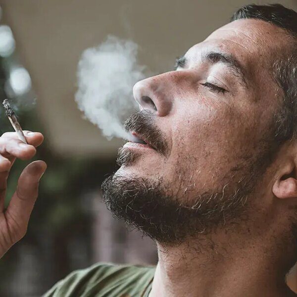 ALEX BERENSON: Trump’s marijuana EO deepens America’s lengthy, lethal drug mistake