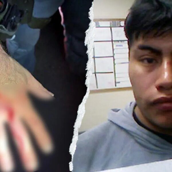 ICE officer bitten in hand by unlawful immigrant throughout arrest in Louisiana:…