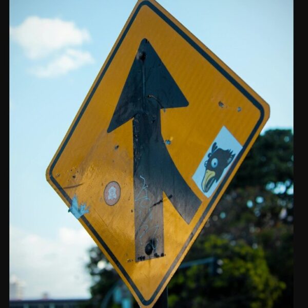 Morgan Stanley sees sturdy 2026 M&A and IPO wave, expects extra financial…