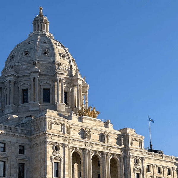 Minnesota lawmakers goal widespread fraud throughout authorities applications