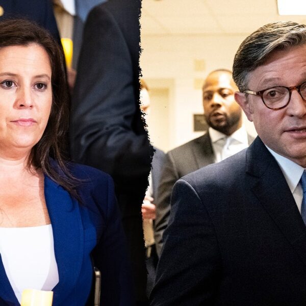 Elise Stefanik, Mike Johnson conflict in heated change over protection invoice