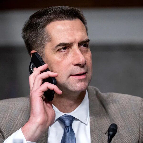 Cotton invoice goals to decrease egg costs as affordability pressures hit households