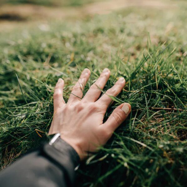 Naware’s chemical-free weed killer tech might change how we deal with lawns