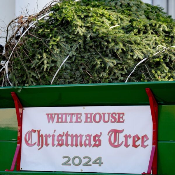 White House reopens Christmas excursions as Melania Trump’s 2025 decorations debut
