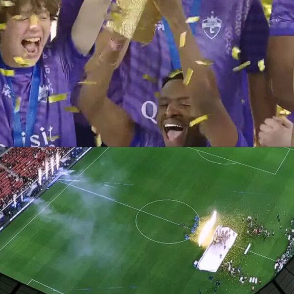 Winner, MVP, and different stats explored