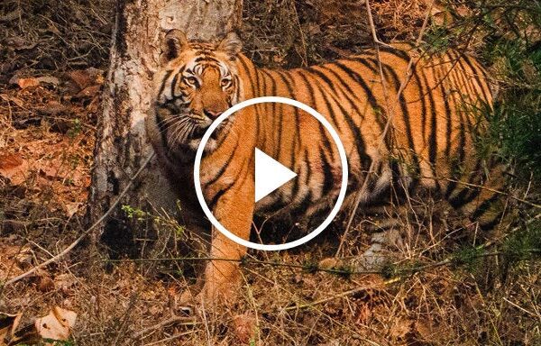 Photographing 52 Places to Go in 2026