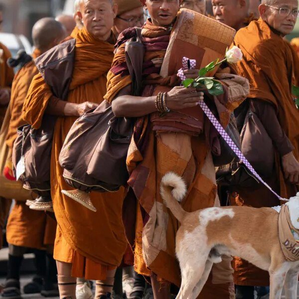 Down Arrow Button Icon