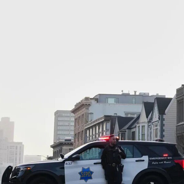 Mountain lion saunters by means of San Francisco’s posh Pacific Heights neighborhood…