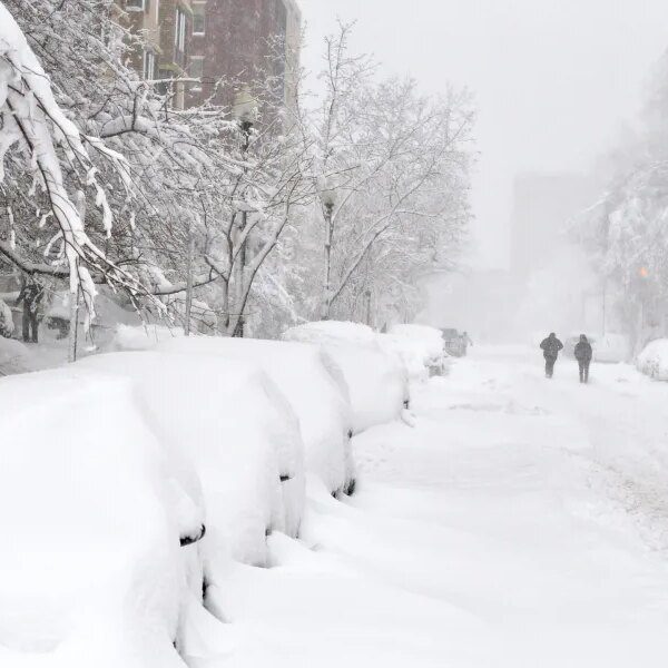 Here’s what shops and eating places usually keep open throughout winter storms