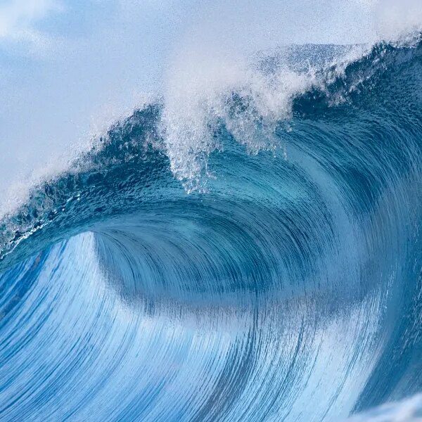 Down Arrow Button Icon