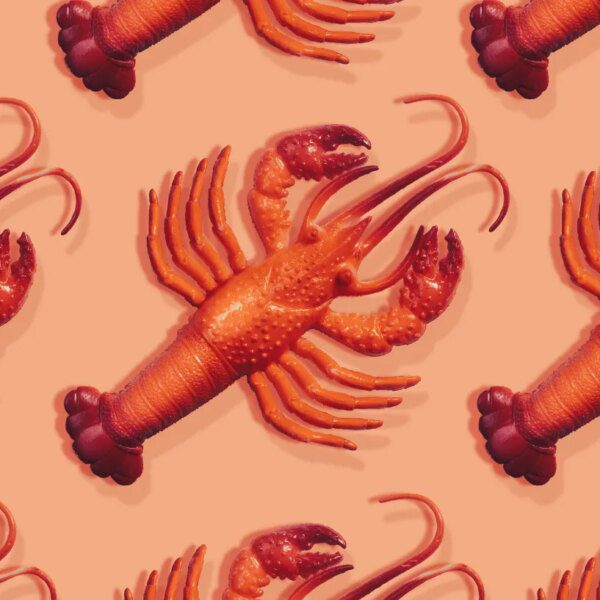 Everything it’s worthwhile to find out about viral private AI assistant Clawdbot&hellip;