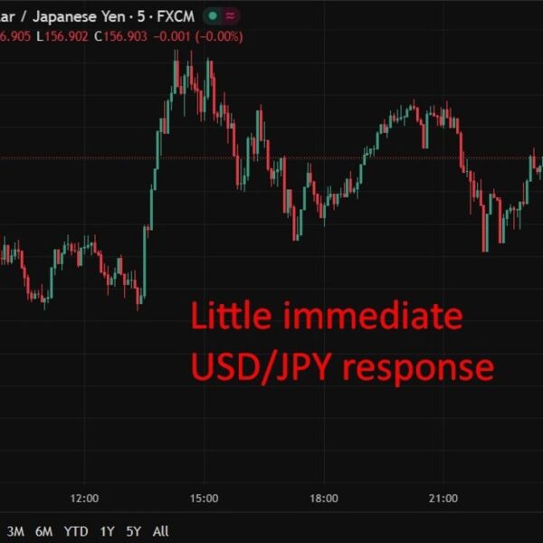 Japan family spending rebounds whereas actual wages nonetheless lag, complicates BOJ outlook