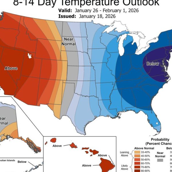 Blue Monday is not so gloomy for pure fuel merchants