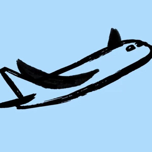 Flapping Airplanes and the promise of research-driven AI