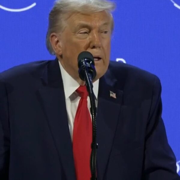 Only two issues Trump stated at Davos mattered