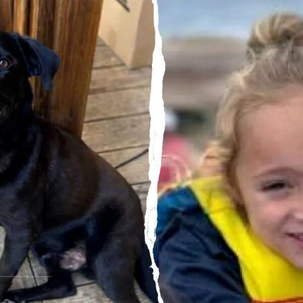 Preliminary post-mortem suggests hypothermia in dying of Alabama boy: studies