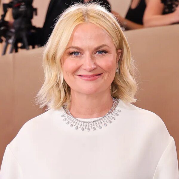 Comedian and Golden Globe winner Amy Poehler shared a tense passenger trade…