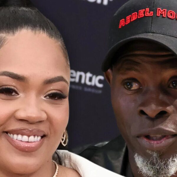 ‘Gladiator’ actor Djimon Hounsou’s Ex-Girlfriend Secures Protective Order