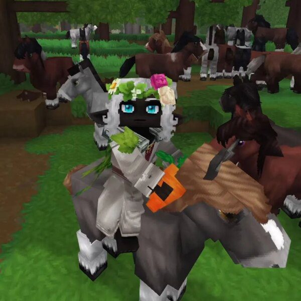How to experience horse in Hytale