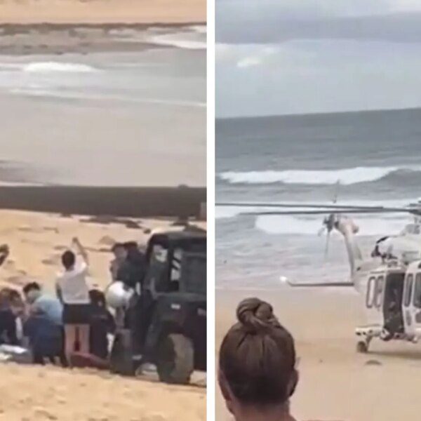 Bloody Shark Rampage in Australia With 3 Swimmers Attacked Over 24 Hours