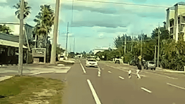 Florida driver saves toddlers from busy street in heroic rescue: ‘I used&hellip;