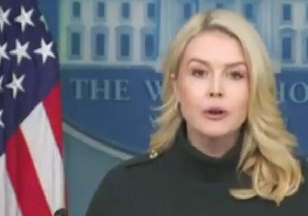 Karoline Leavitt Blames Democrats For The Trump Administration Murder Of Alex Pretti