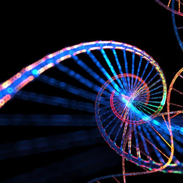 GeneDx: Fundamentals Intact Though This autumn Results Pause Near Term Momentum