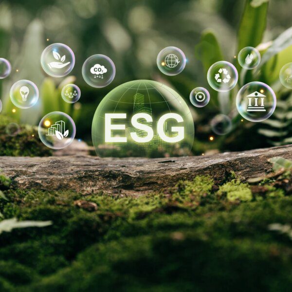 Where The Rubber Meets Return: The ESG Factors That Matter