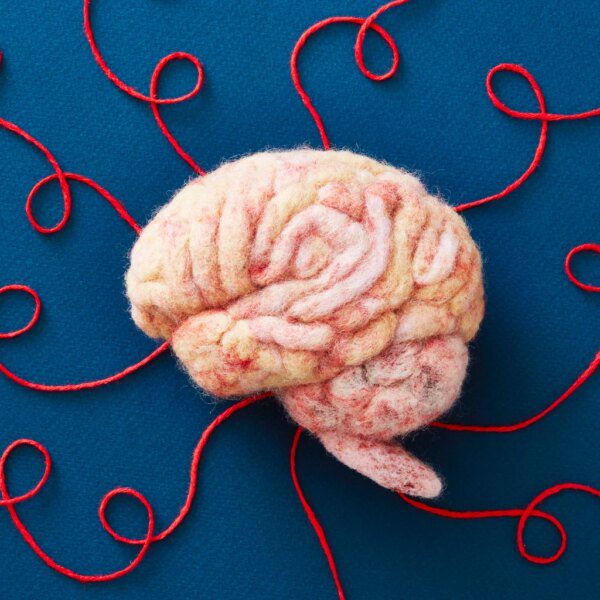 Ovid Therapeutics: Bullish Post-PIPE With Two Differentiated CNS Moonshots