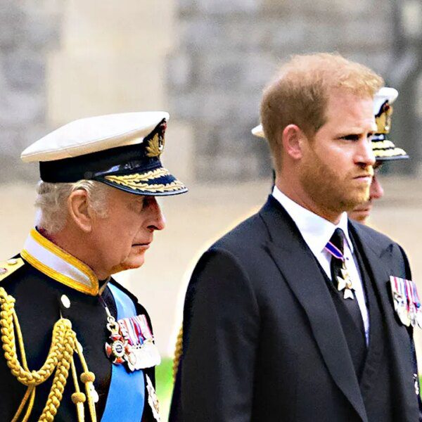 Prince Harry safety determination could possibly be reversed by UK authorities committee