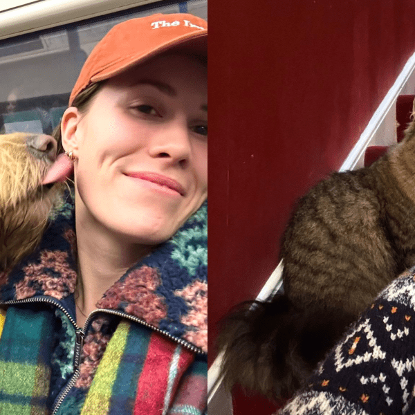 This millennial stop her company 9-to-5 to pet sit—she’s now residing rent-free