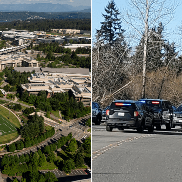 Woman stabbed in random assault on Seattle space path, suspect at giant