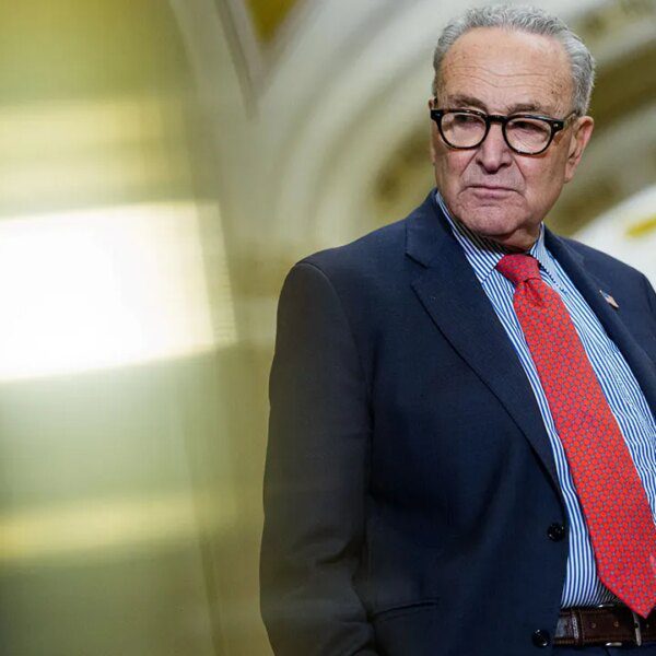 Schumer vows to revive DOGE cuts and go even larger on federal&hellip;