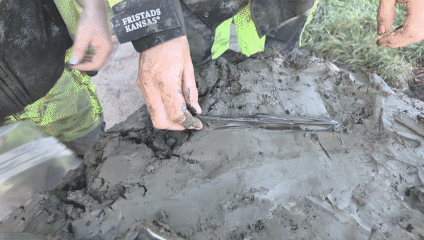 Stone Age canine buried with 5,000-year-old dagger unearthed in Sweden