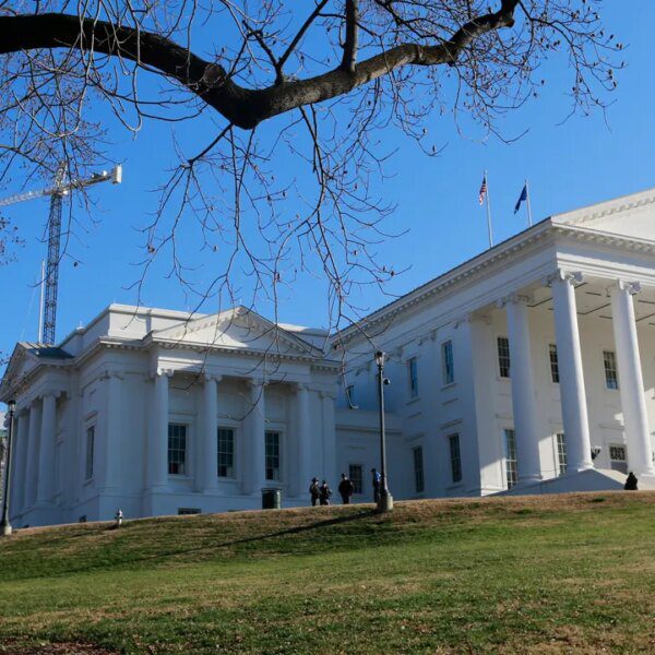 Virginia Senate approves constitutional modification for redistricting