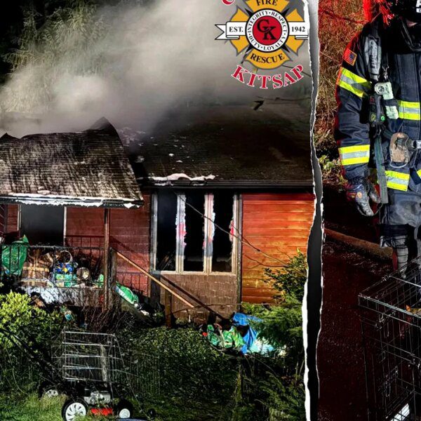 About 40 canine killed in Washington home hearth, firefighters rescue 3 from…