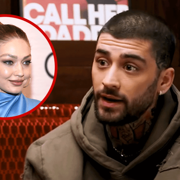 Zayn Malik Doubles Down, Says He Was Never in Love With Gigi&hellip;